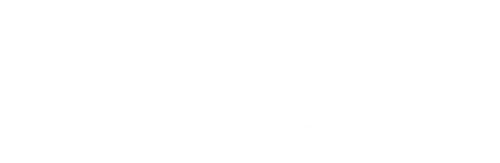 Vista Outdoor